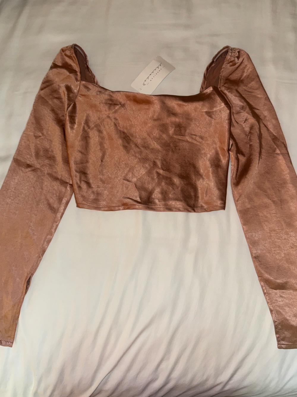 American Threads Rose Gold Long-Sleeve Satin Crop Top